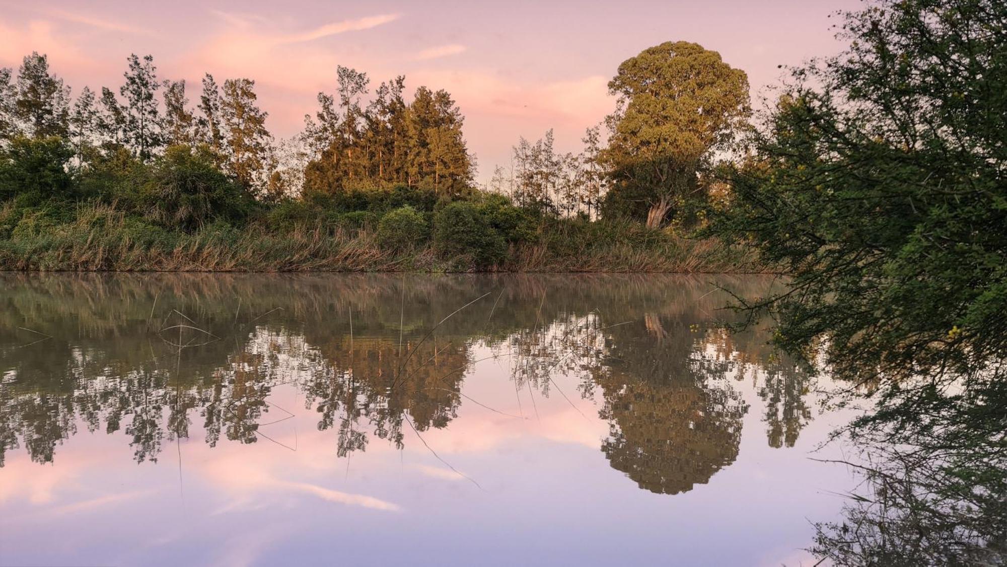 Ndlovu Addo River Lodge Kirkwood Dış mekan fotoğraf