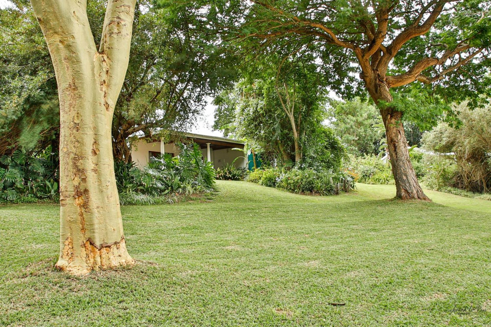 Ndlovu Addo River Lodge Kirkwood Dış mekan fotoğraf